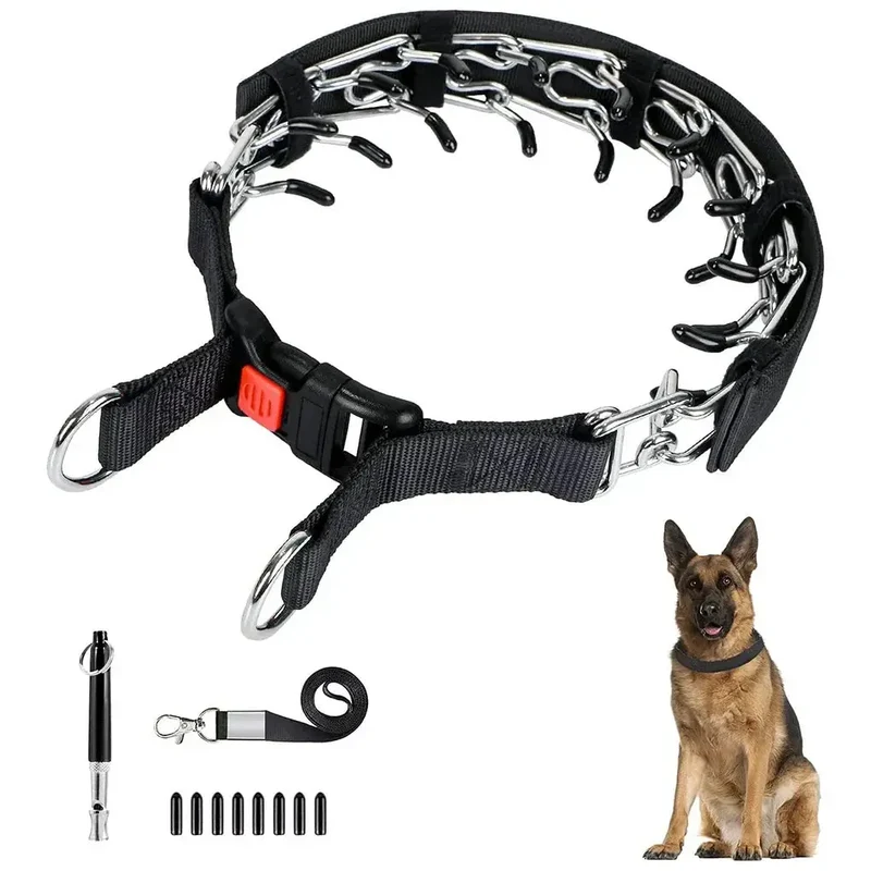 Collier de dressage chien pas cher