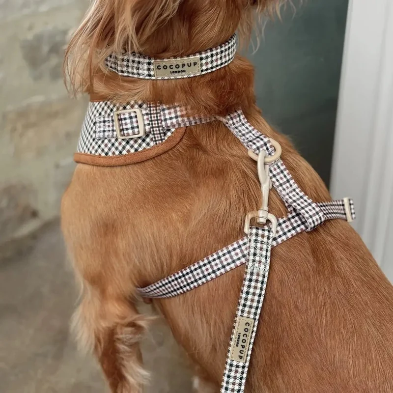 Laisse à carreaux pour chien Heritage Check – Élégance britannique