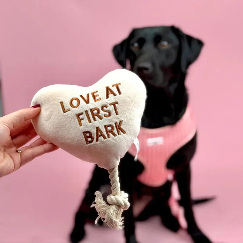 Jouet chien cœur couineur – Love at First Bark