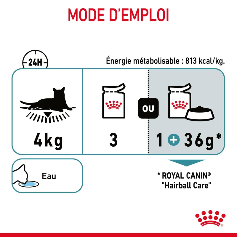 Royal Canin Hairball Care en gelée – pâtée chat