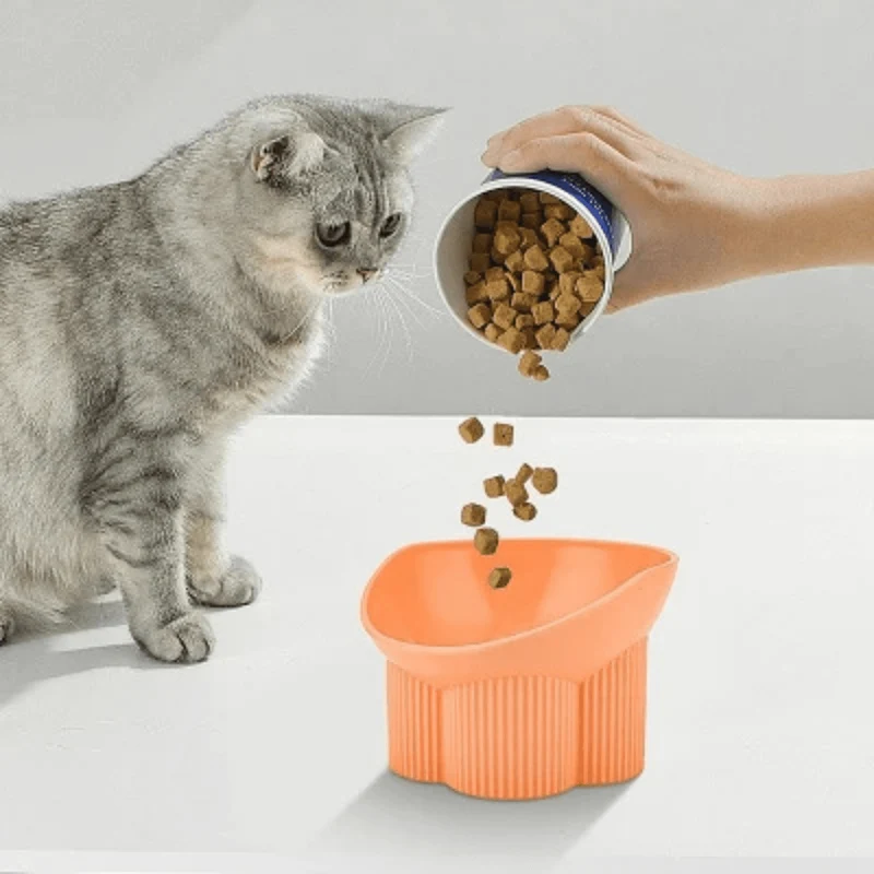 Gamelle chat anti renversement - Anti-tipCatBowls™