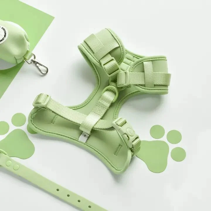 Harnais pour chien H réglable vert pastel matcha chic