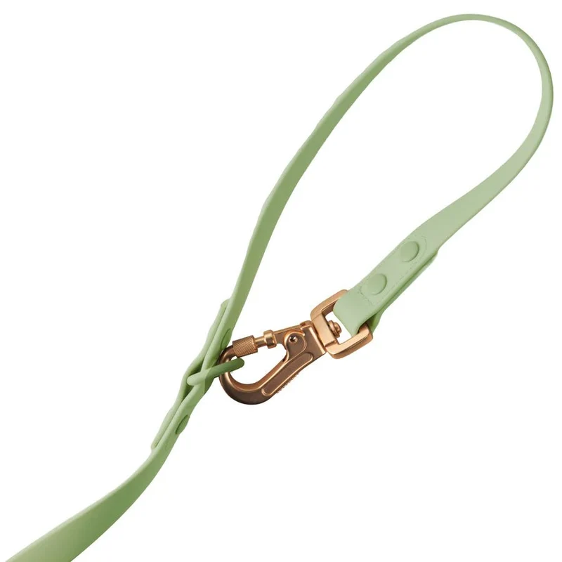 Laisse pour chien multipositionnable imperméable vert pastel – Gemini