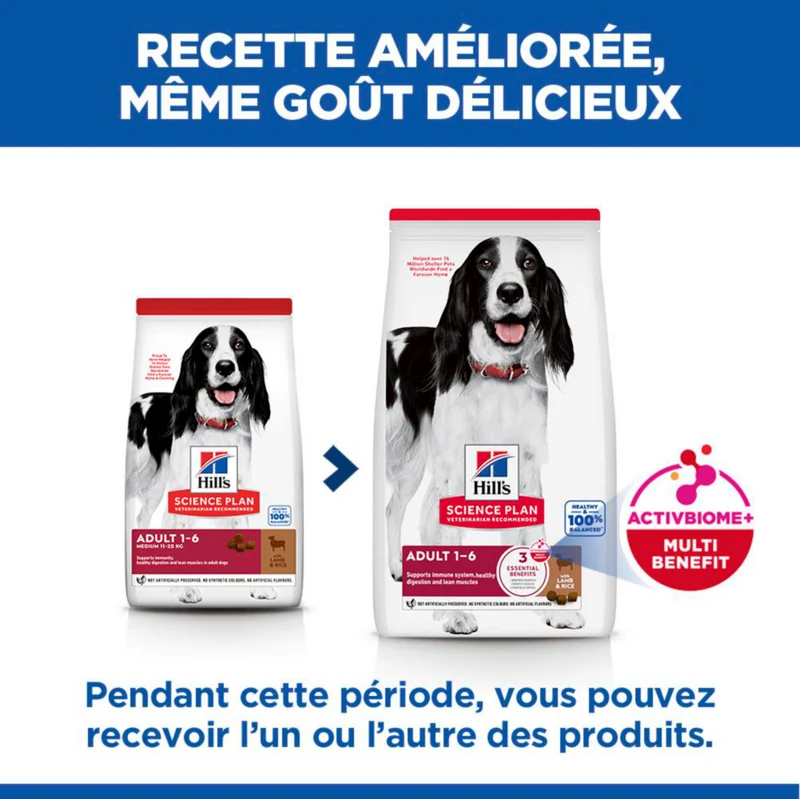 Hill's Science Plan Medium Adult à l'agneau - croquettes chien