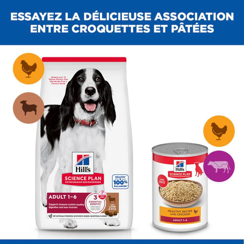 Hill's Science Plan Medium Adult à l'agneau - croquettes chien