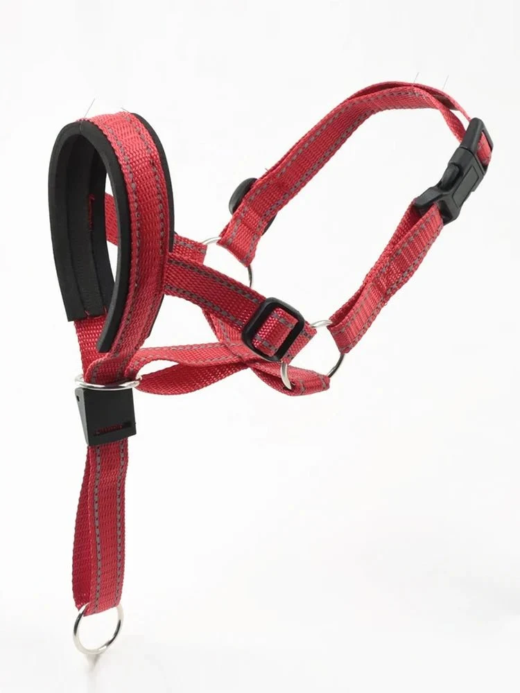 Laisse museau pour chien