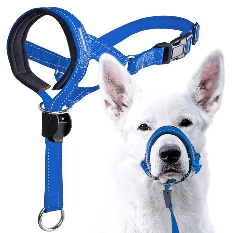 Laisse museau pour chien