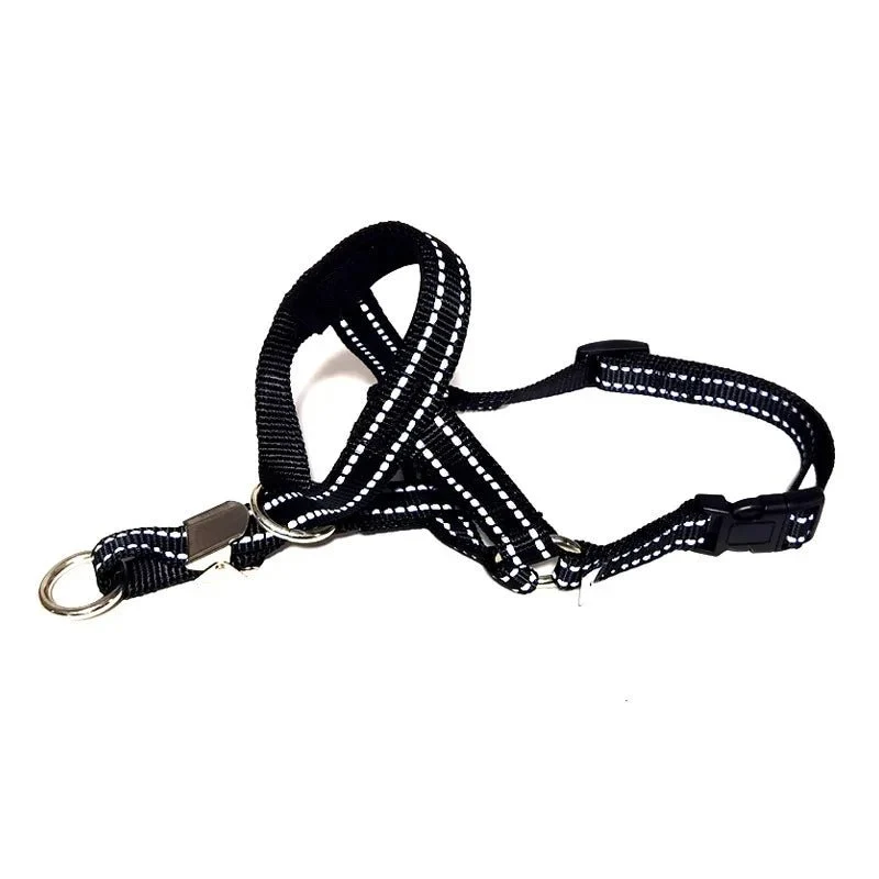 Laisse museau pour chien