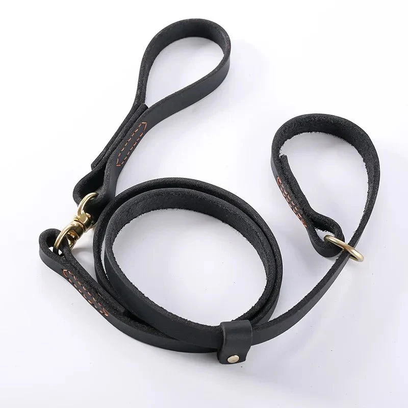 Laisse pour chien husky