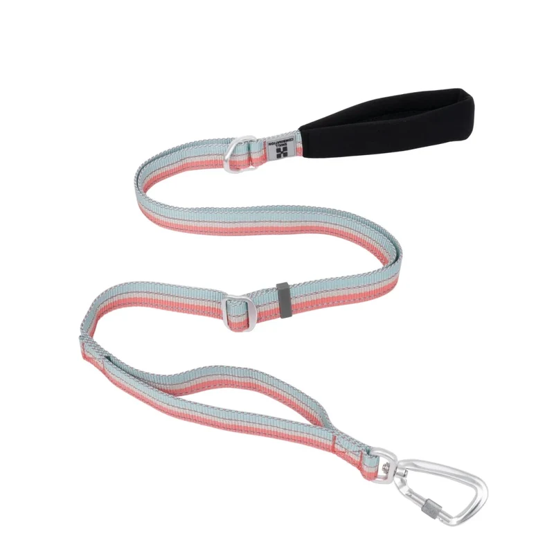 Laisse pour chien fluo