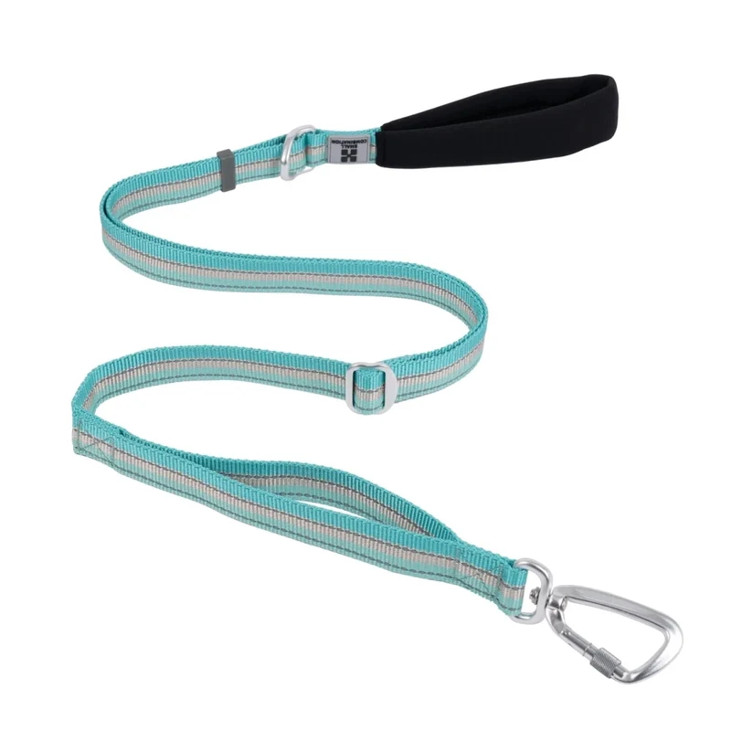 Laisse pour chien fluo