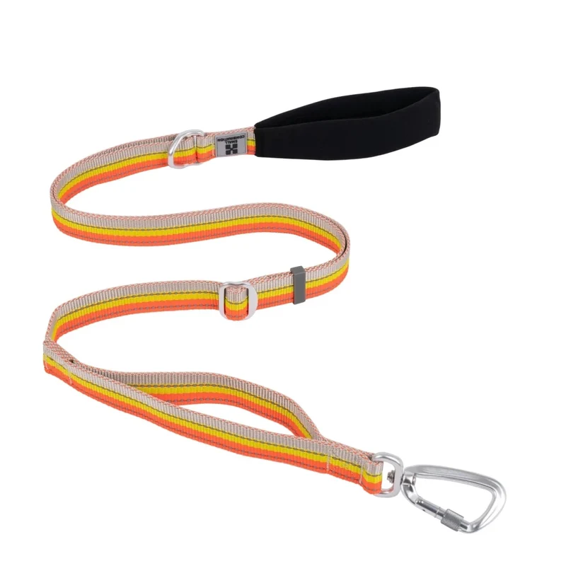 Laisse pour chien fluo