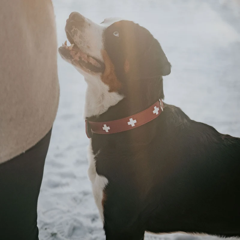 Halsband Swiss