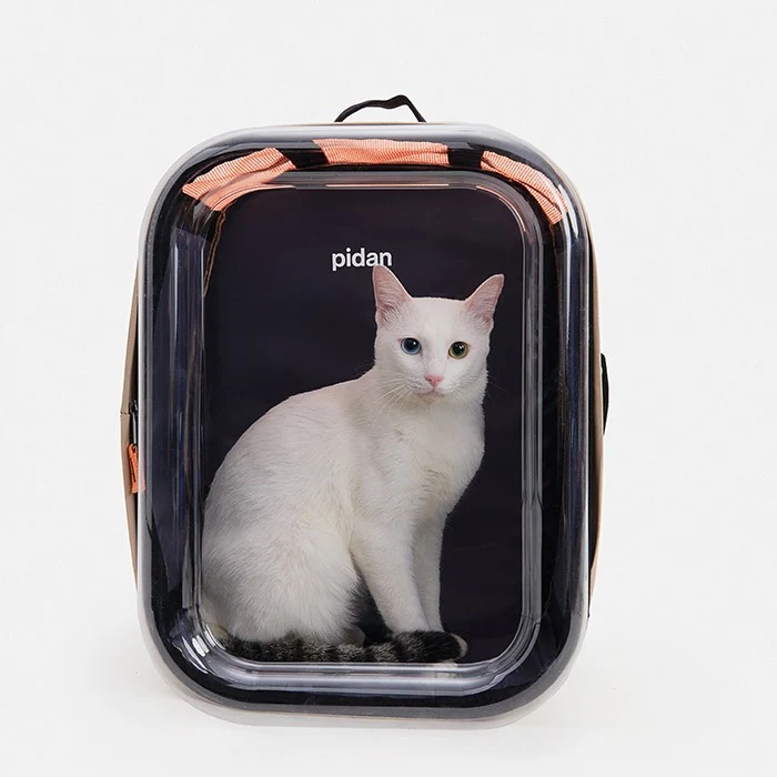 Sac à dos transparent Bulle chat, petit chien, furet