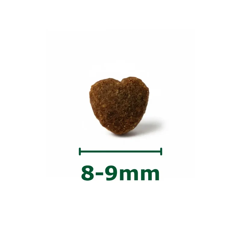 Friandises Hypoallergéniques Fungfeed Chat