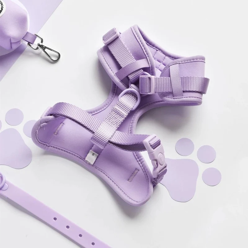 Harnais pour chien H réglable Lila Parme – Élégance sans traction