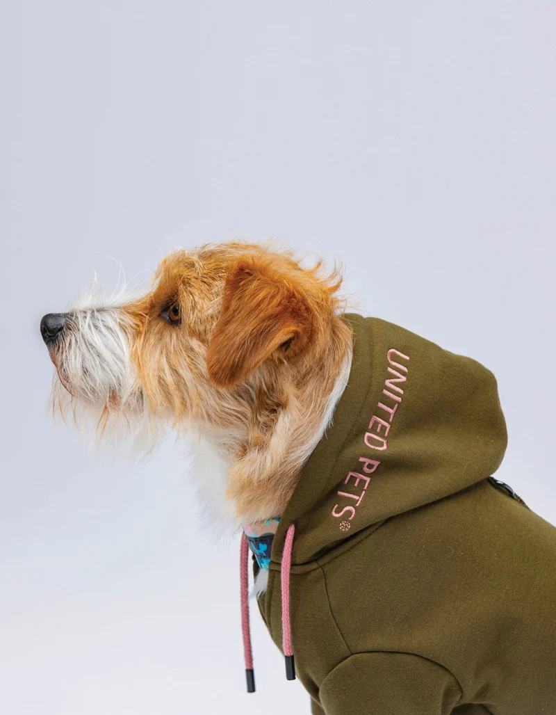 Sweat pour chien stylé – Hoodie doux et chaud Bull