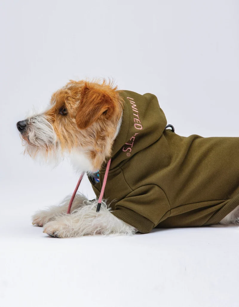 Sweat pour chien stylé – Hoodie doux et chaud Bull