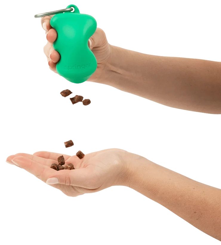 Distributeur de friandises chien en silicone Springer - 6 couleurs