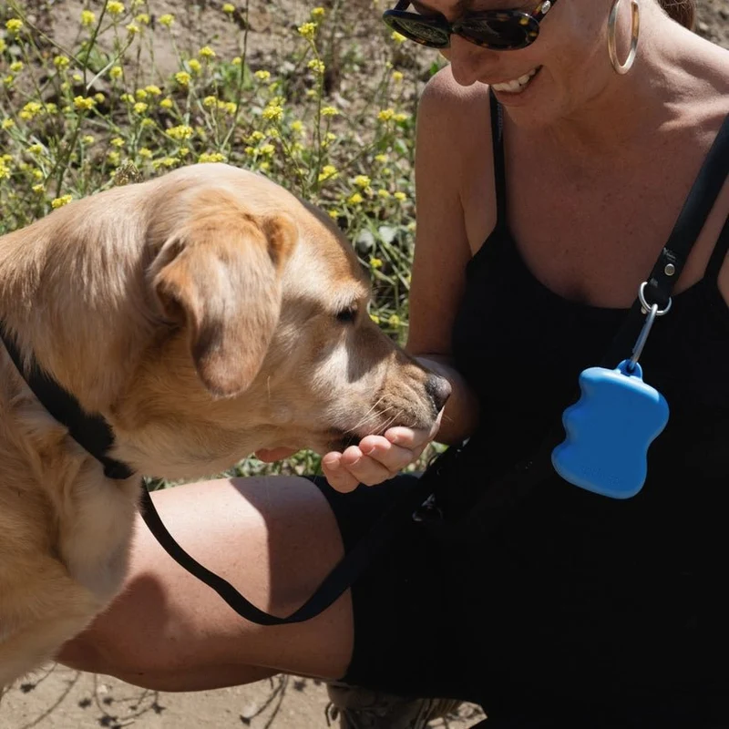 Distributeur de friandises chien en silicone Springer - 6 couleurs