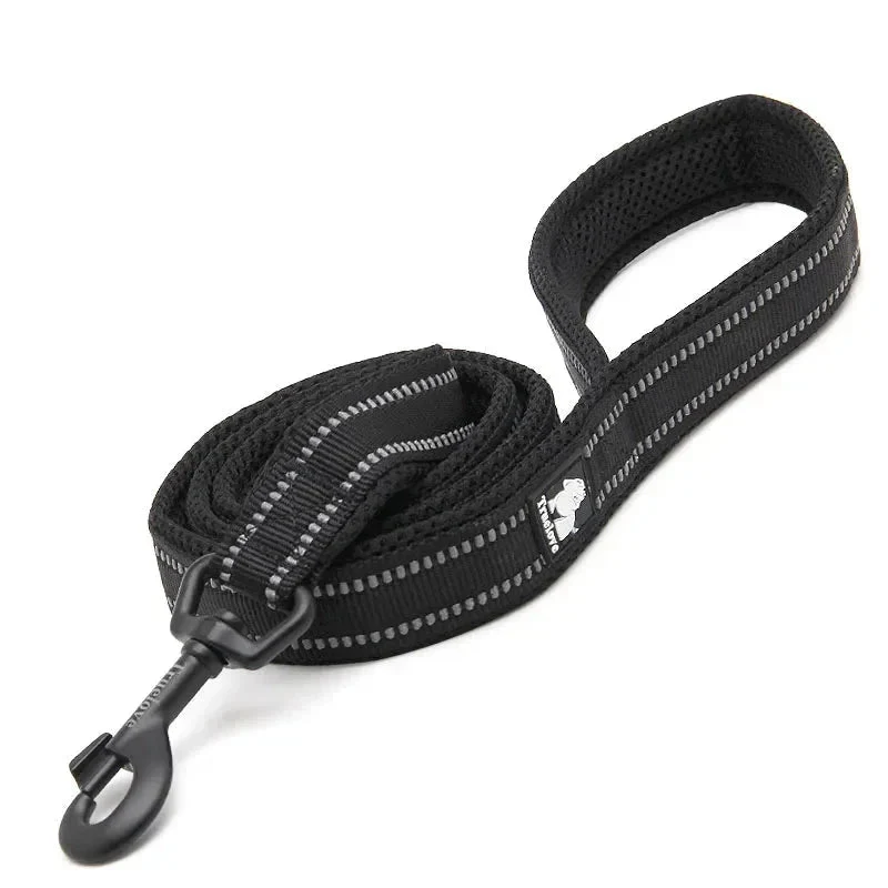 Laisse pour chien noir