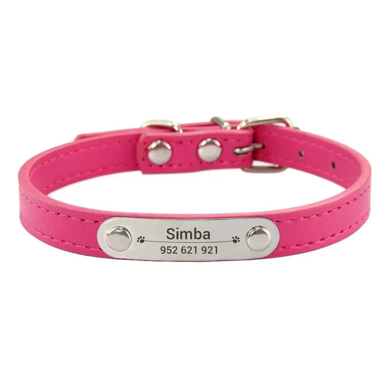 Collier chiot 3 mois