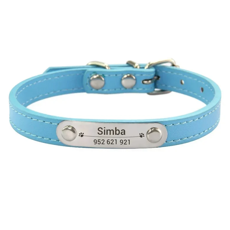 Collier chiot 3 mois