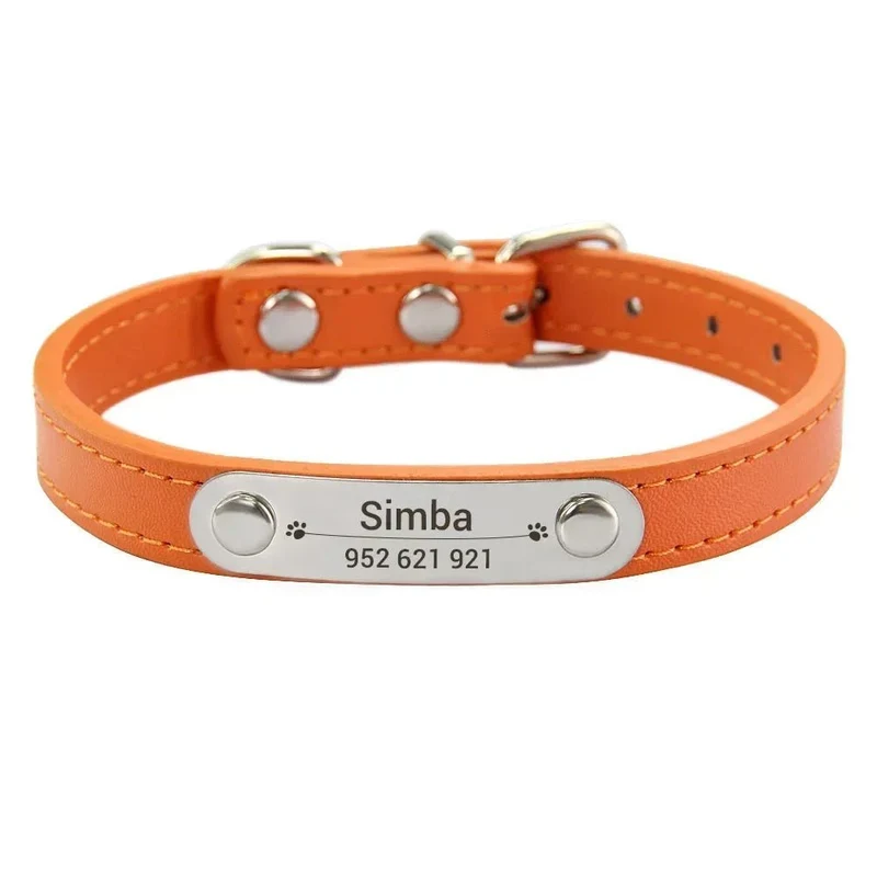 Collier chiot 3 mois
