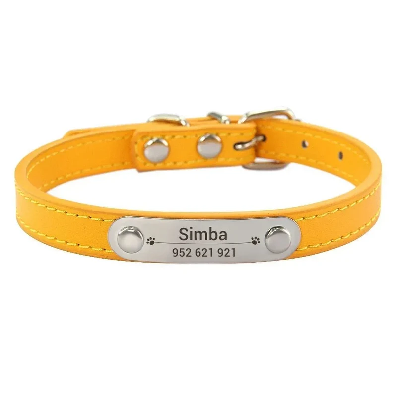 Collier chiot 3 mois