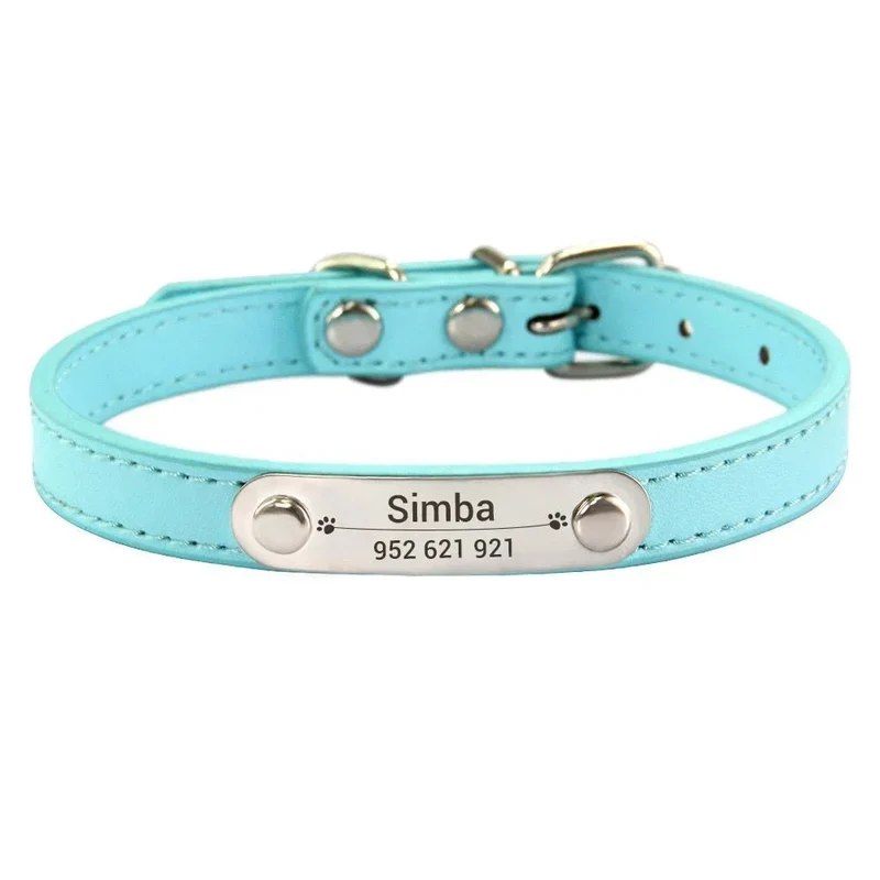 Collier chiot 3 mois