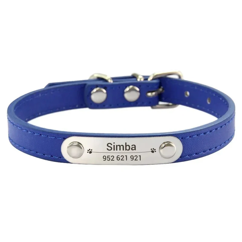 Collier chiot 3 mois