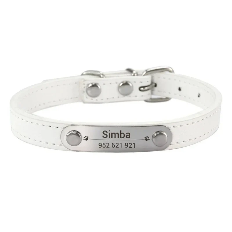 Collier chiot 3 mois