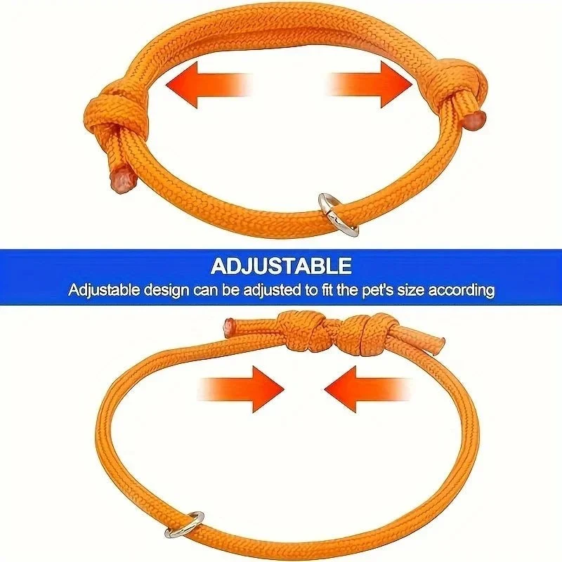 Collier chiot naissance