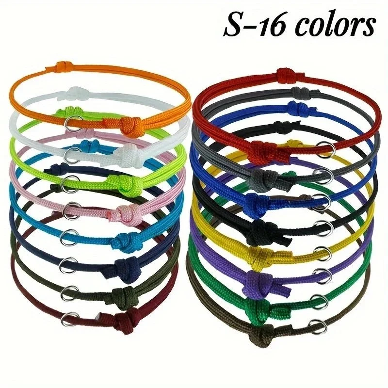 Collier chiot naissance