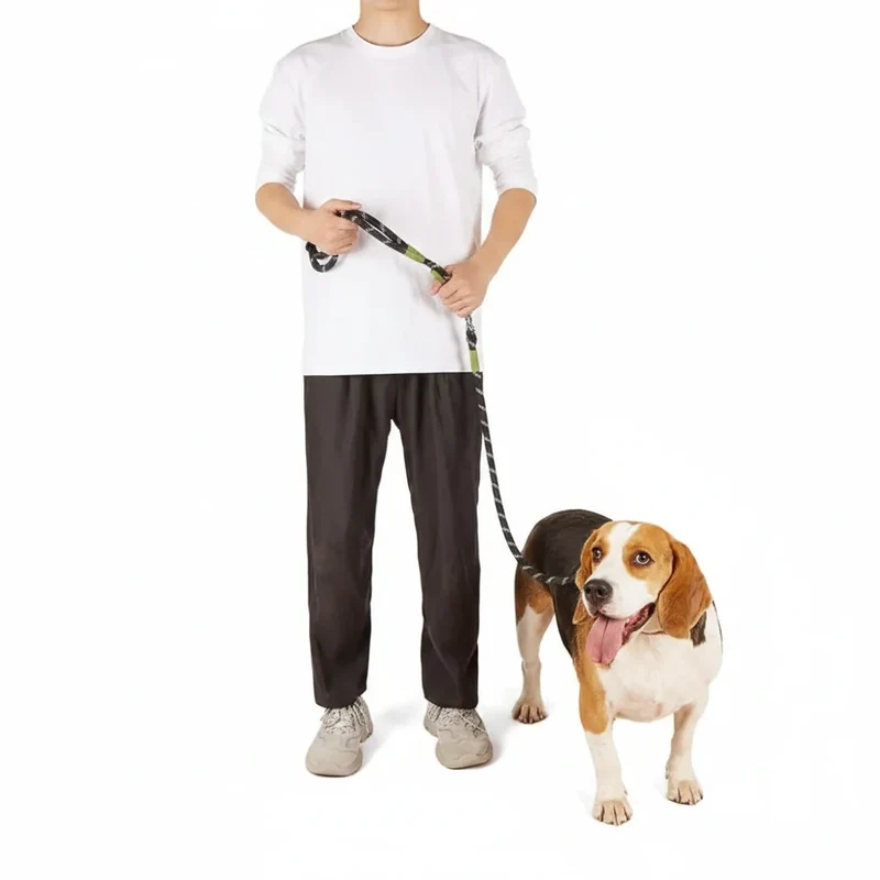 Laisse lasso avec sécurité