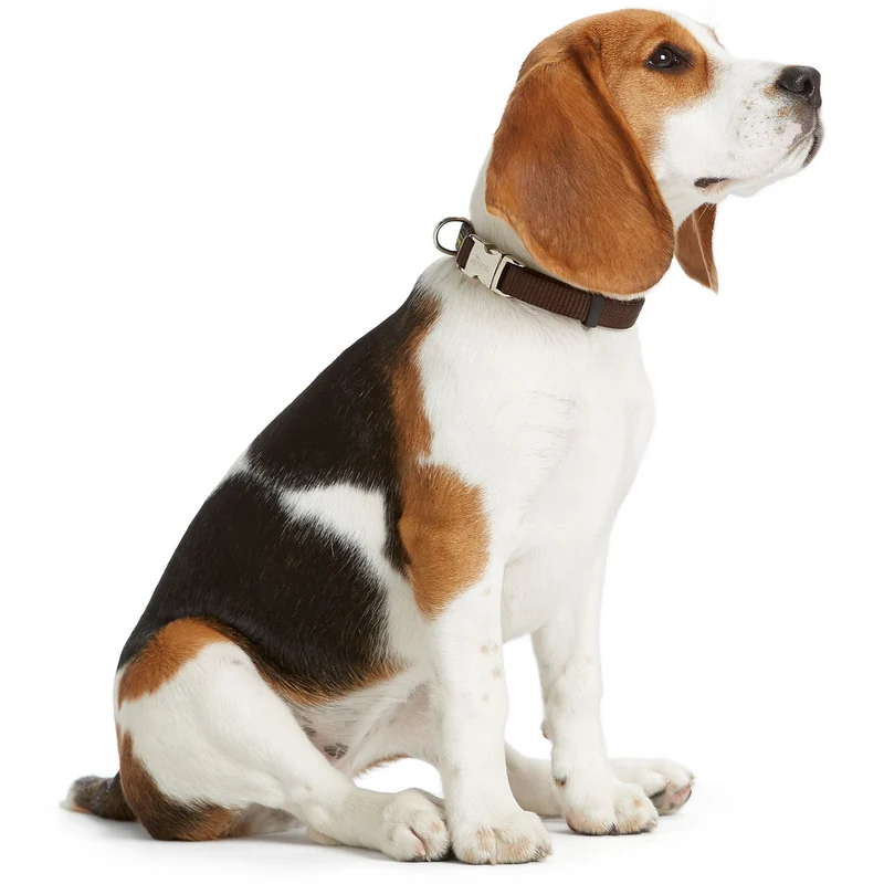 Halsung Vario Basic Alu-Strong