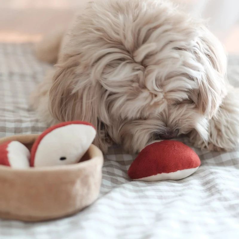 Jouet d’occupation pour chien – Tarte aux Pommes 🍏 Pups & Bub