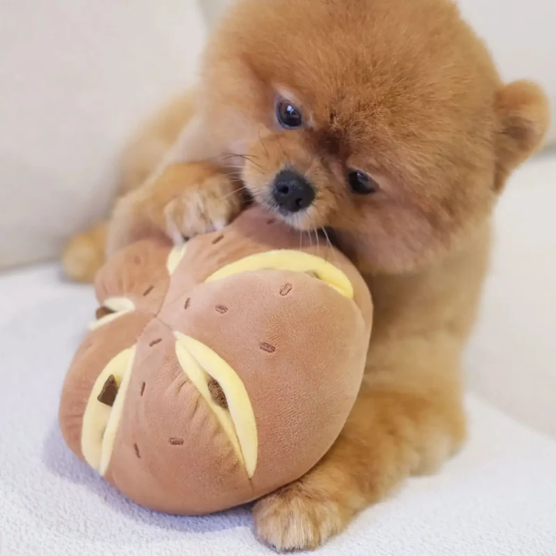 Jouet d’occupation pour chien – Gâteau au fromage 🧀 Pups & Bubs