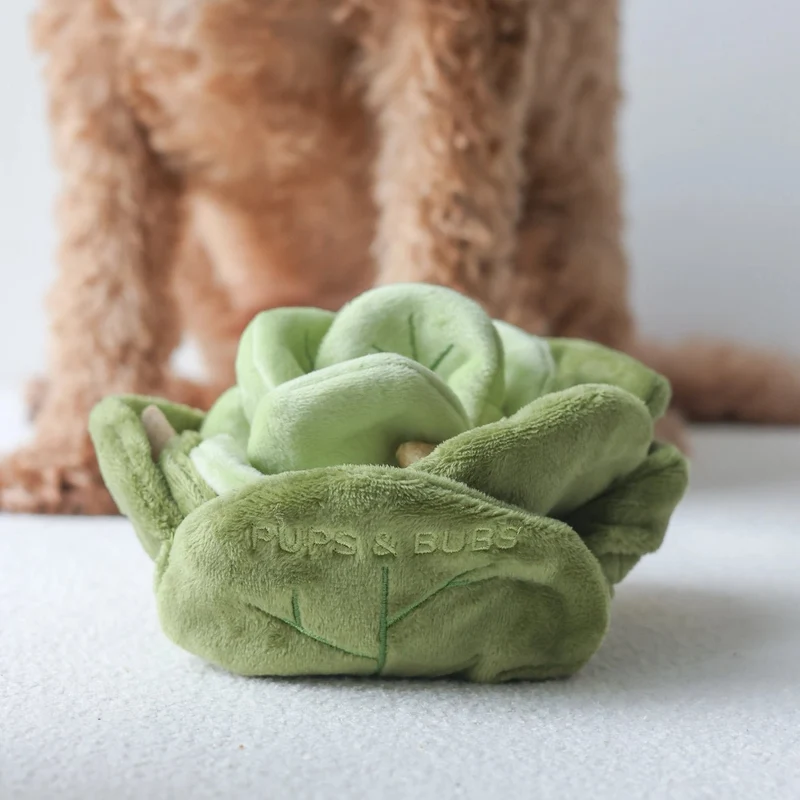 Jouet de fouille pour chien 🥬 Chou – Pups & Bubs
