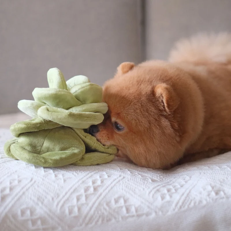 Jouet de fouille pour chien 🥬 Chou – Pups & Bubs