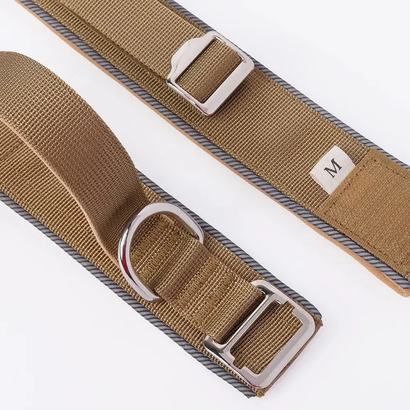 Collier de dressage chiot