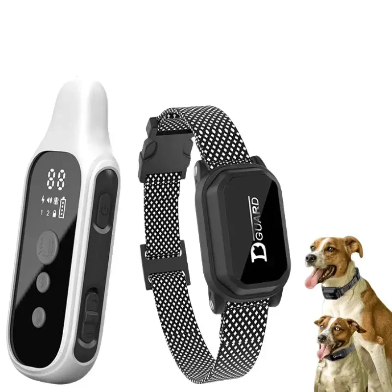 Collier de dressage numérique pour chien
