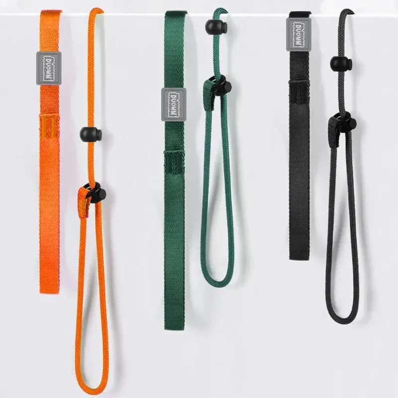Collier education chiot
