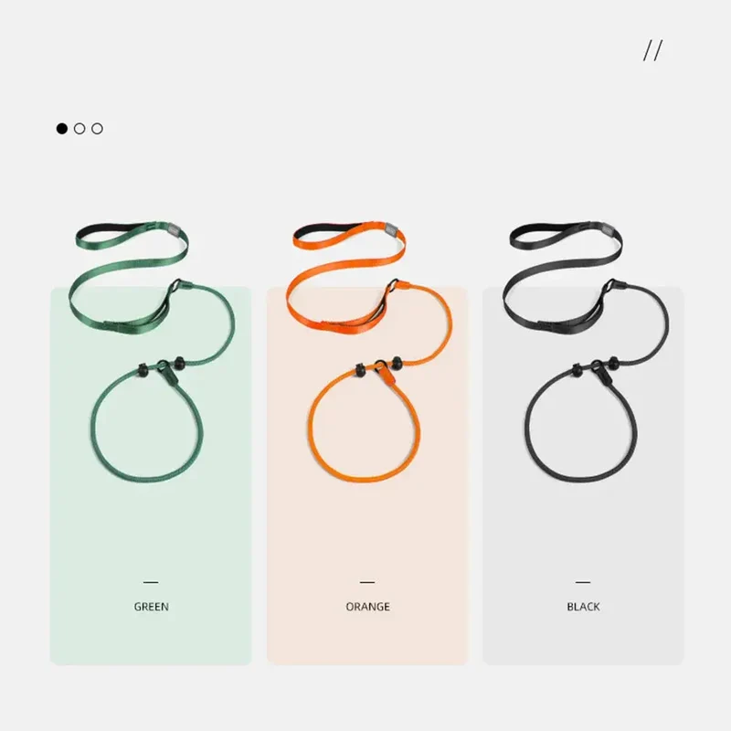 Collier education chiot