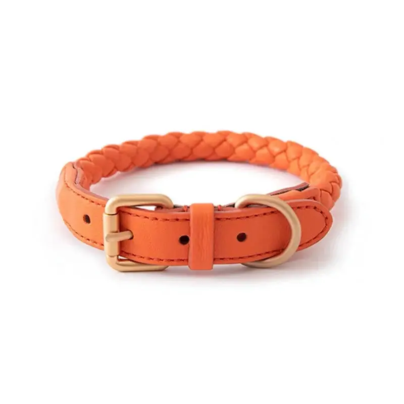 Collier en cuir rond pour chien
