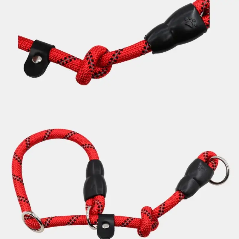 Collier lasso chien
