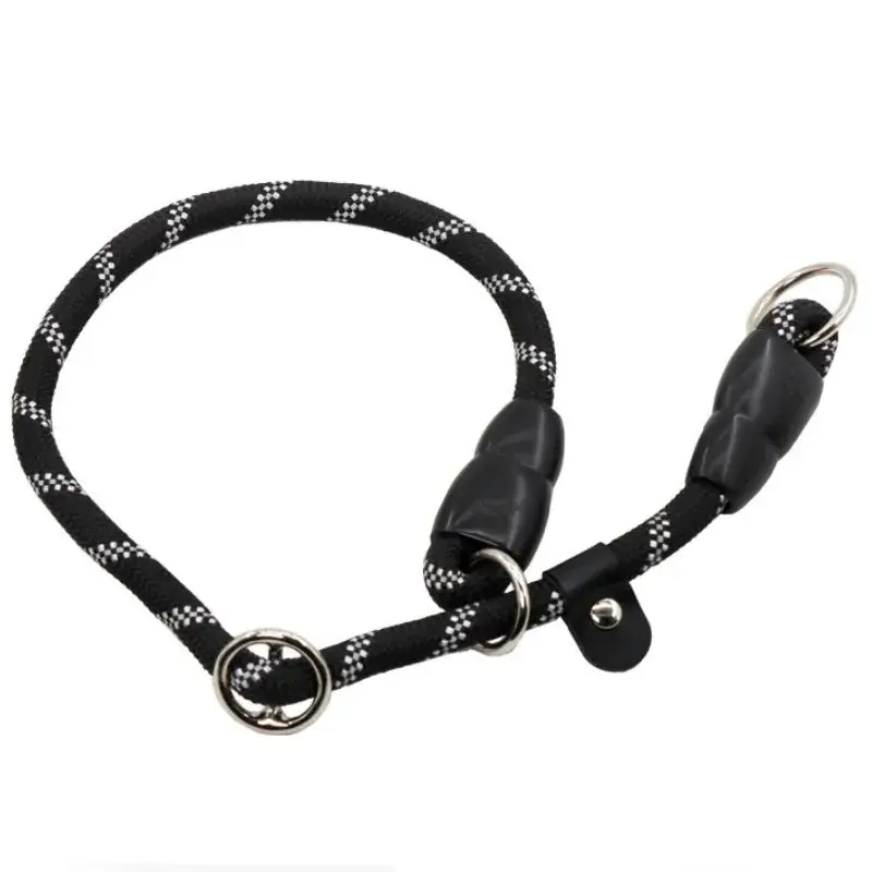 Collier lasso chien