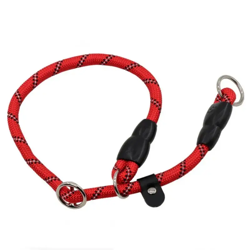 Collier lasso chien