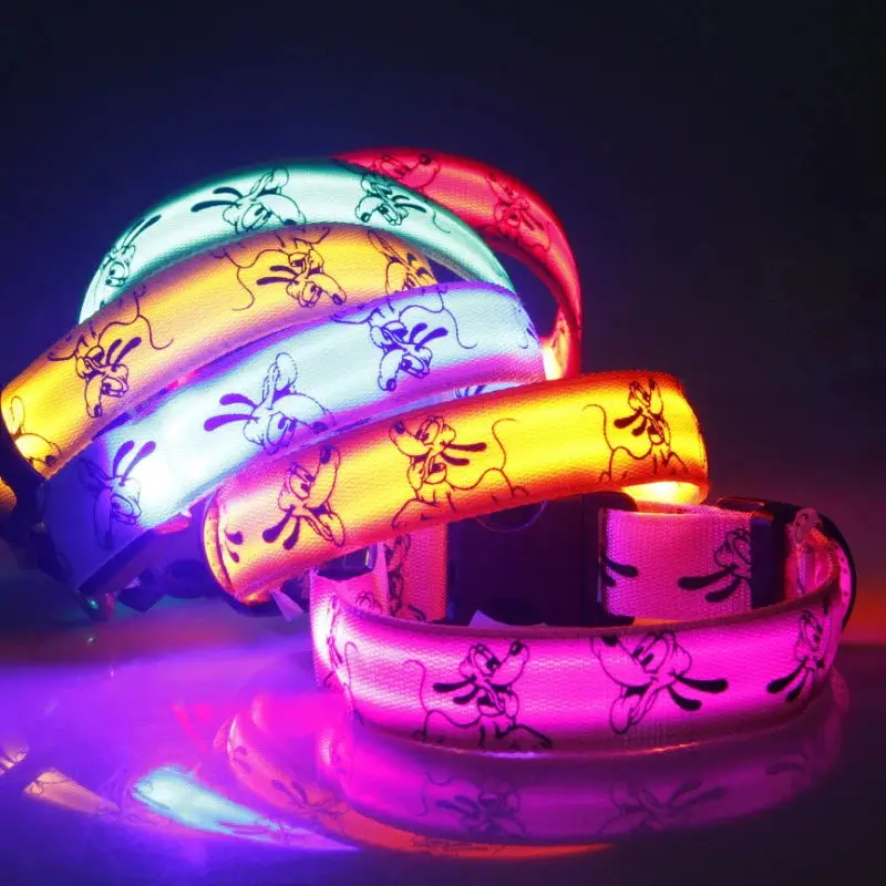 Collier led pour chien