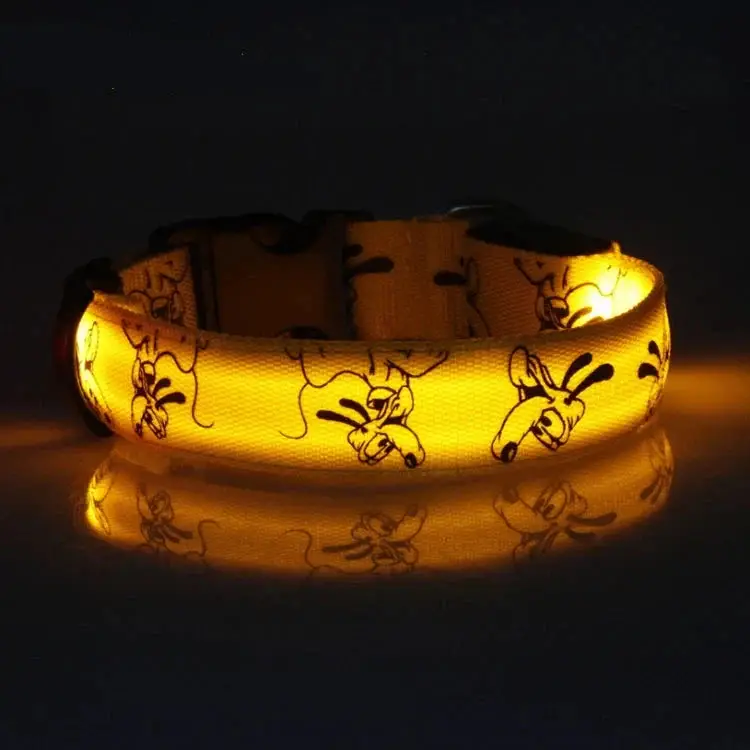 Collier led pour chien